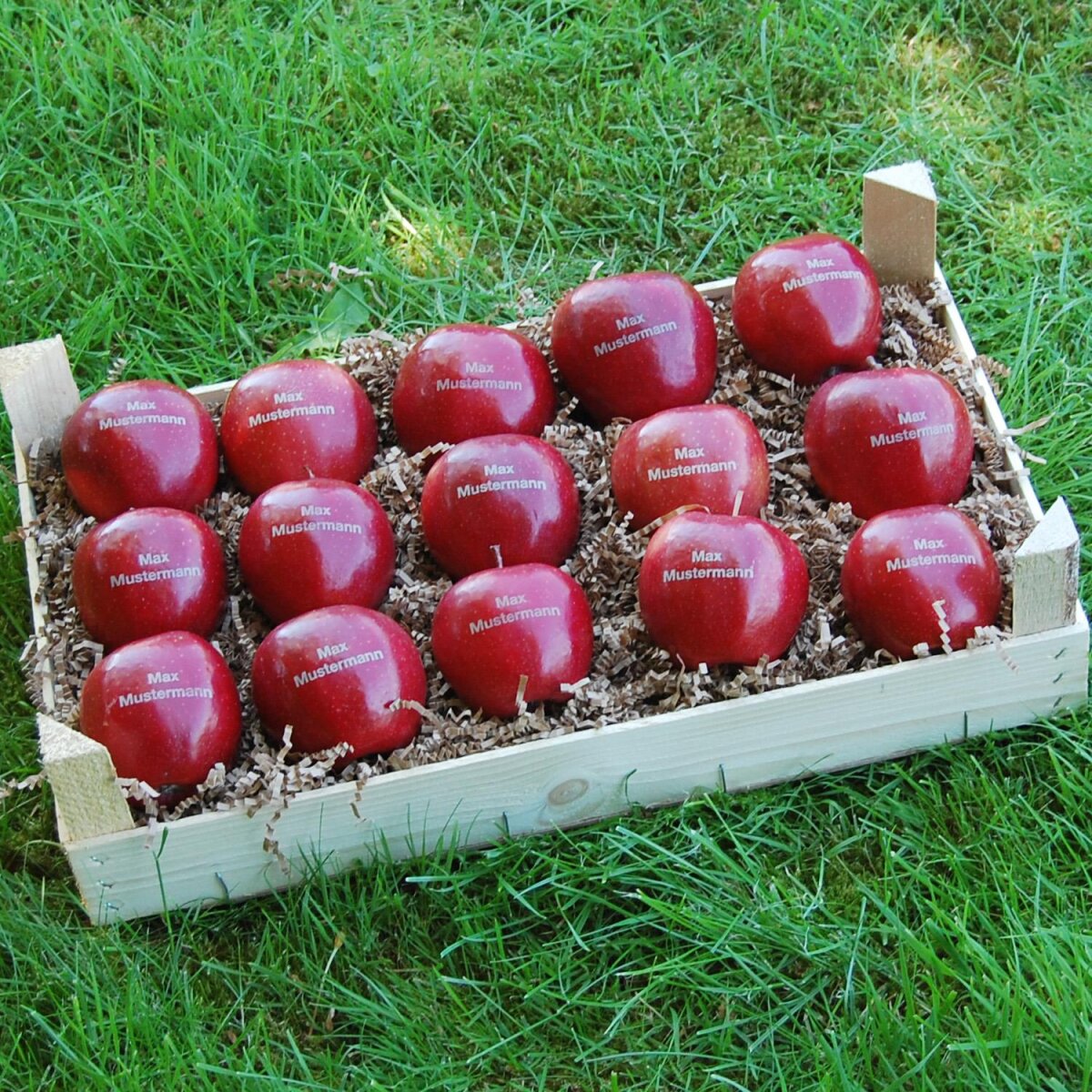 Rote Logo Pfel In Obstkiste Dekorativ Verpackt