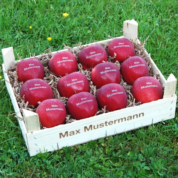 12 rote Logo Äpfel in Holzkiste mit Logobranding 22 90