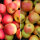 Bio-Äpfel 3kg-Steige / Probierpaket mit 2 Sorten