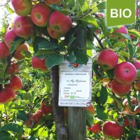 Apfelbaum-Patenschaft BIO / Rubinette / 2025+2026 / Premium je 20kg / Gutschein 50€ Hofladen-Hofcafe