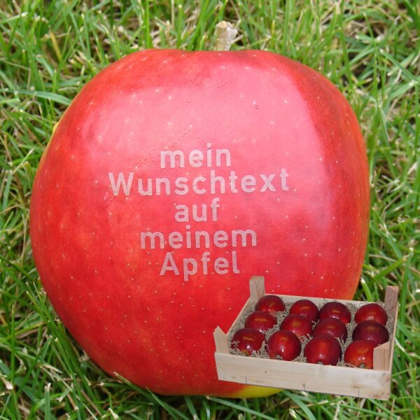 12 rote Äpfel mit Namen in Holzkiste ohne Branding