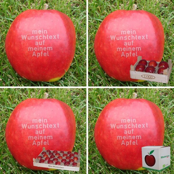 12 rote Äpfel mit Namen in Holzkiste mit Namen-Branding
