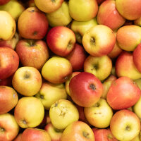 Mostäpfel 13kg krumme Früchte / Braeburn