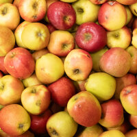 Mostäpfel 13kg krumme Früchte / Braeburn