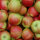Bio-Äpfel 2,5kg-Steige / Santana