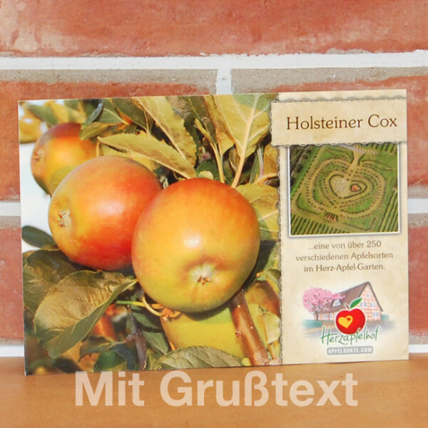 Holsteiner Cox Traditionssorte alte Apfel