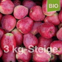 Bio-Äpfel 3kg-Steige / Gloster