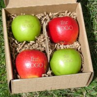 2 grüne und 2 rote Logo-Äpfel Laser in 4er...