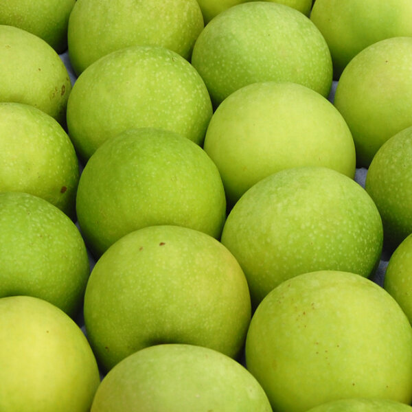 Granny Smith Apfel 5kg