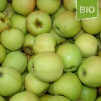 Bio-Äpfel 5kg-Steige