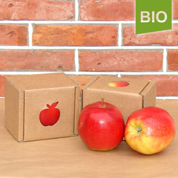 Bio-Apfel Einzelbox / Jonagold