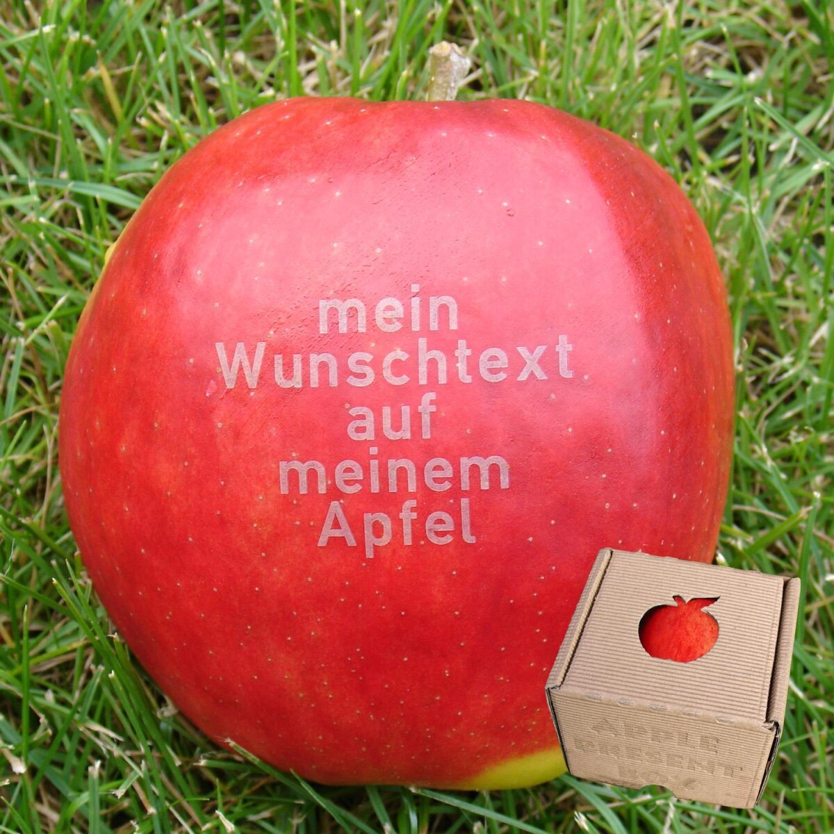 Apfel Wunschtext - Branding 5 Zeilen je 15 Zeichen, 9,90 €