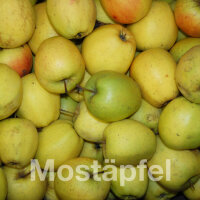 Bio-Saftäpfel Golden Delicious 13kg