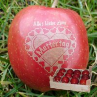 Liebesapfel rot / Muttertag / 12 Äpfel Holzkiste /...