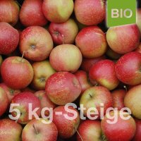 Bio-Äpfel 5kg-Steige / Rubinette