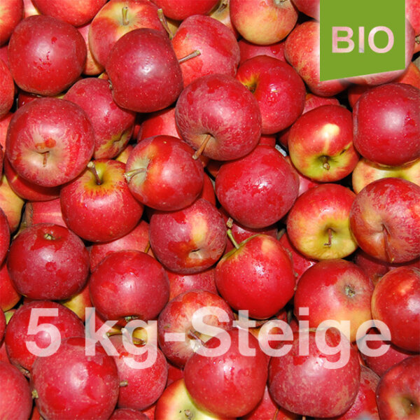 Bio-Äpfel 5kg-Steige / Kleine rote Äpfel