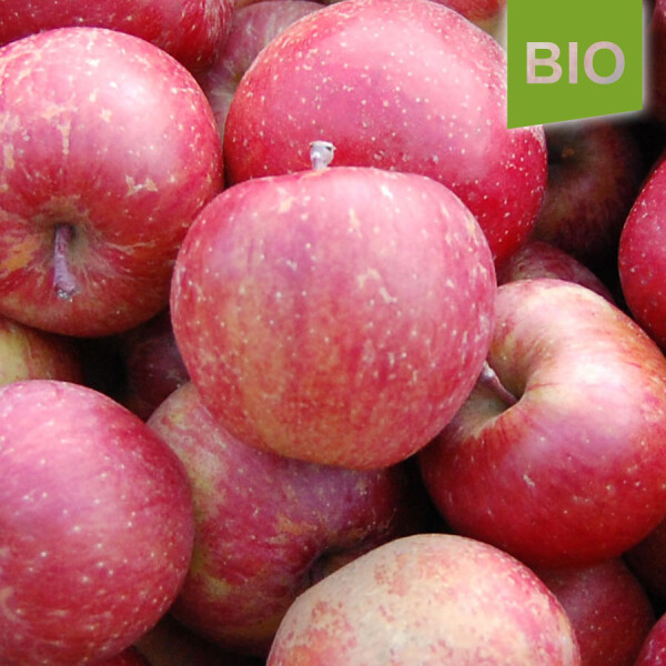 Bio-Apfel Einzelbox / Fuji