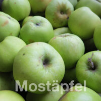 Mostäpfel 13kg krumme Früchte / Seestermüher Zitronenapfel