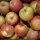 Bio-Äpfel 3kg-Steige / Boskoop