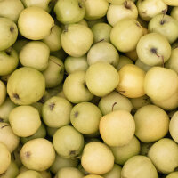 Golden Delicious Bio-Apfel 5kg