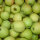 Golden Delicious Bio-Apfel 5kg