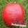 25 rote Äpfel mit Namen in Holzkiste mit Logo-Branding