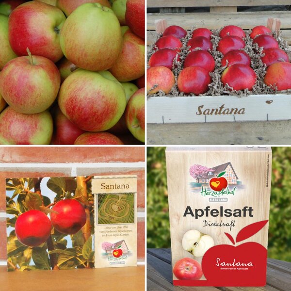der € Allergiker-Apfel, Santana, 1,69 Sorte der Bio-Apfel